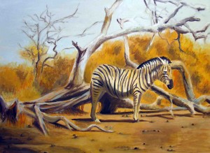 Zèbre à l'huile
